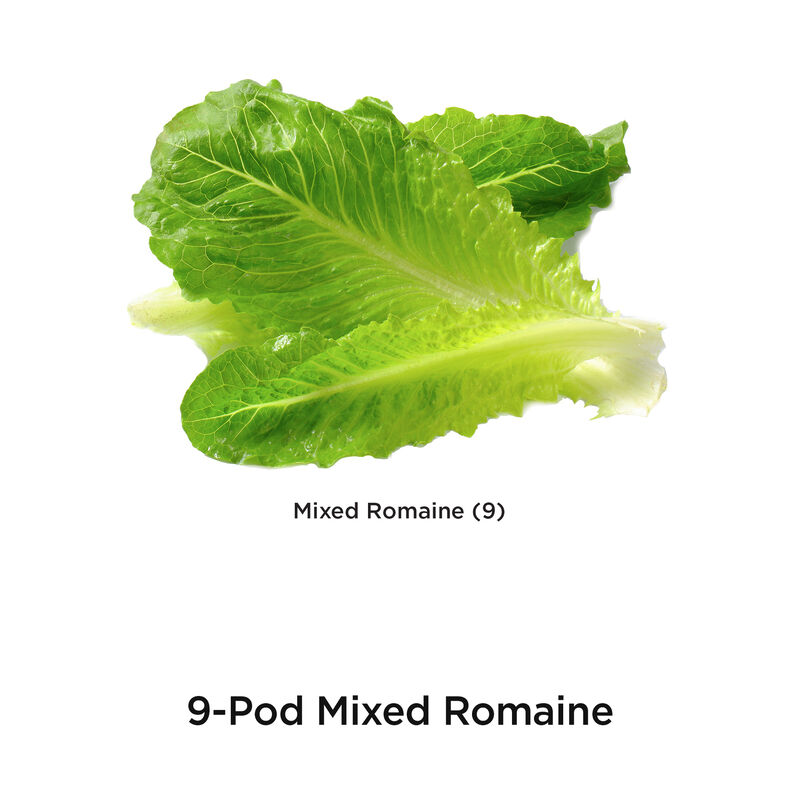 Mixed Romaine Seed Pod Kit image number null